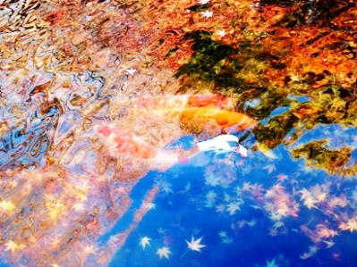 落葉と水面に映る紅葉と錦鯉のコラボ