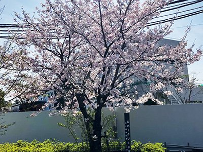 南関東カンパニー