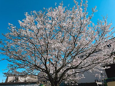 北関東カンパニー