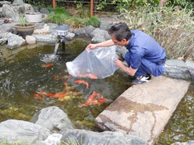 紅が綺麗ですね