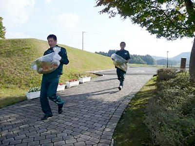 大きな錦鯉を池まで運びます