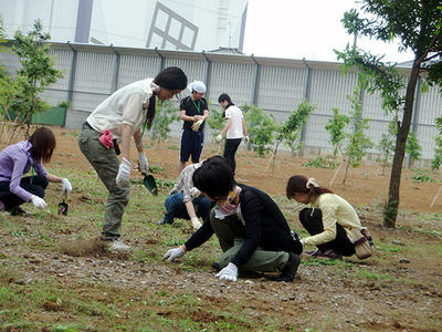 大きな雑草は無くなってきました