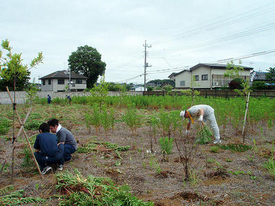 本格的な夏を前に社員総出で草刈をしました。