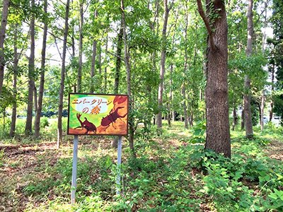 野田市船形のエバ森