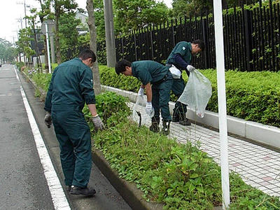 街路樹や植込みの中からゴミを拾いました