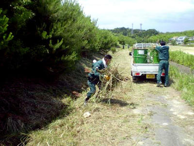 トラックと移動しながら雑草回収