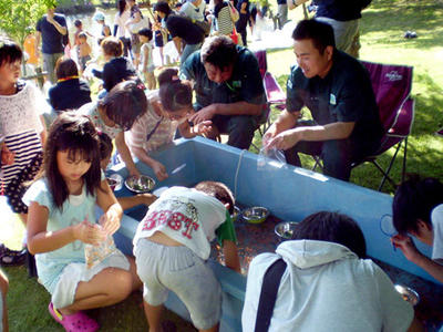 稚魚すくいに夢中の子供たち